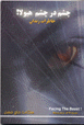 Chishm dar Chishm-i Hayulah