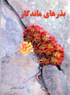 Bazr,hay-i Mandigar, Khatirati az Chirik,hay-i Fadayi Khalq