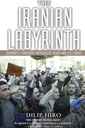 The Iranian Labyrinth: Journeys through theocratic Iran and its furies