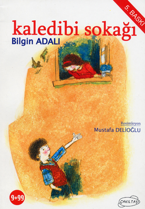 Kaledibi Sokagi