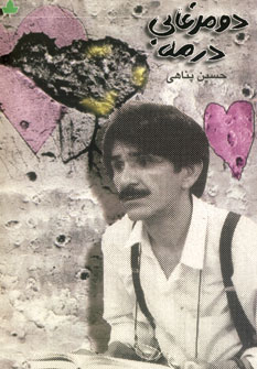 دو مرغابي در مه