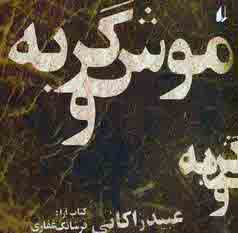 موش وگربه