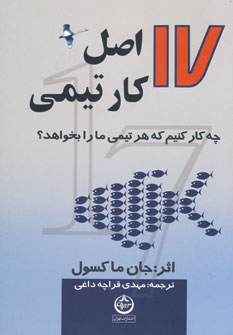 17 اصل كار تيمي