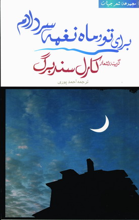 براي تو وماه نغمه سردادم