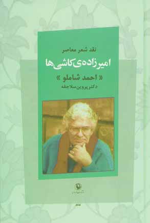 اميرزاده ي كاشي ها