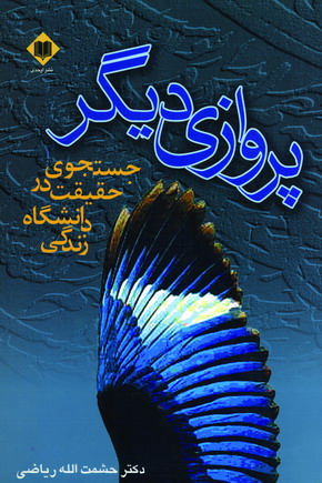 پروازي ديگر