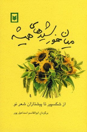 ميان خورشيدهاي هميشه
