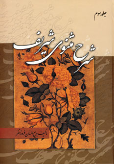 شرح مثنوي شريف (3جلدي)