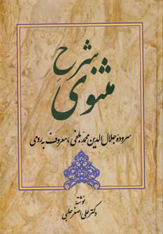 شرح مثنوي (جلد2)