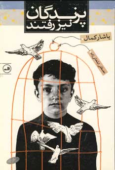 پرندگان نيز رفتند