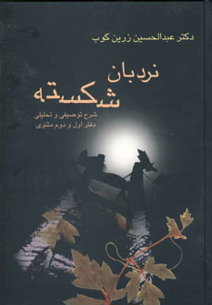 نردبان شكسته