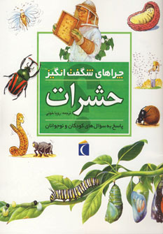 چراهاي شگفت انگيز حشرات
