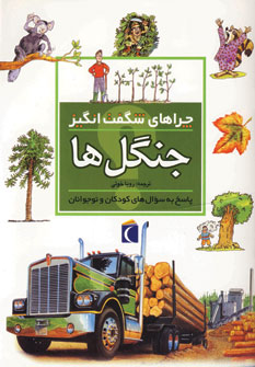 چراهاي شگفت انگيز جنگل ها