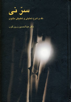 سرني