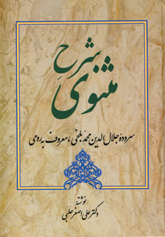 شرح مثنوي (جلد3)