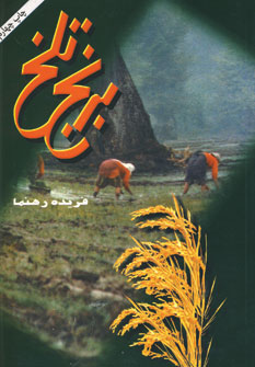 برنج تلخ