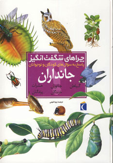 چراهاي شگفت انگيزجاندران