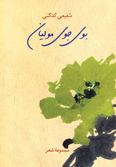بوي جوي موليان
