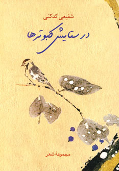 در ستايش كبوترها