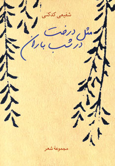 مثل درخت در شب باران