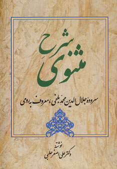 شرح مثنوي(جلد4)