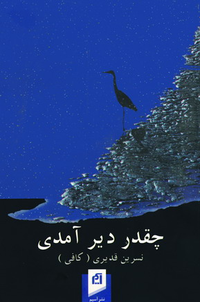 چقدر دير آمدي