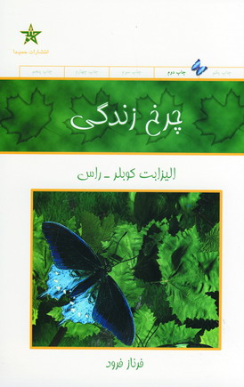 چرخ زندگي