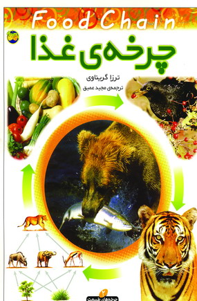 چرخه ي غذا