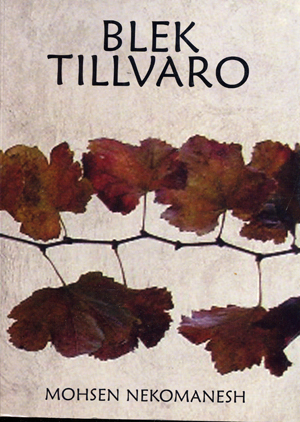 Blek tillvaro