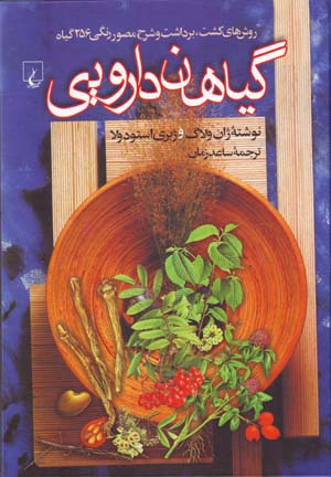 Giyahan-i Daruyi