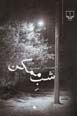 Shab-i Mumkin