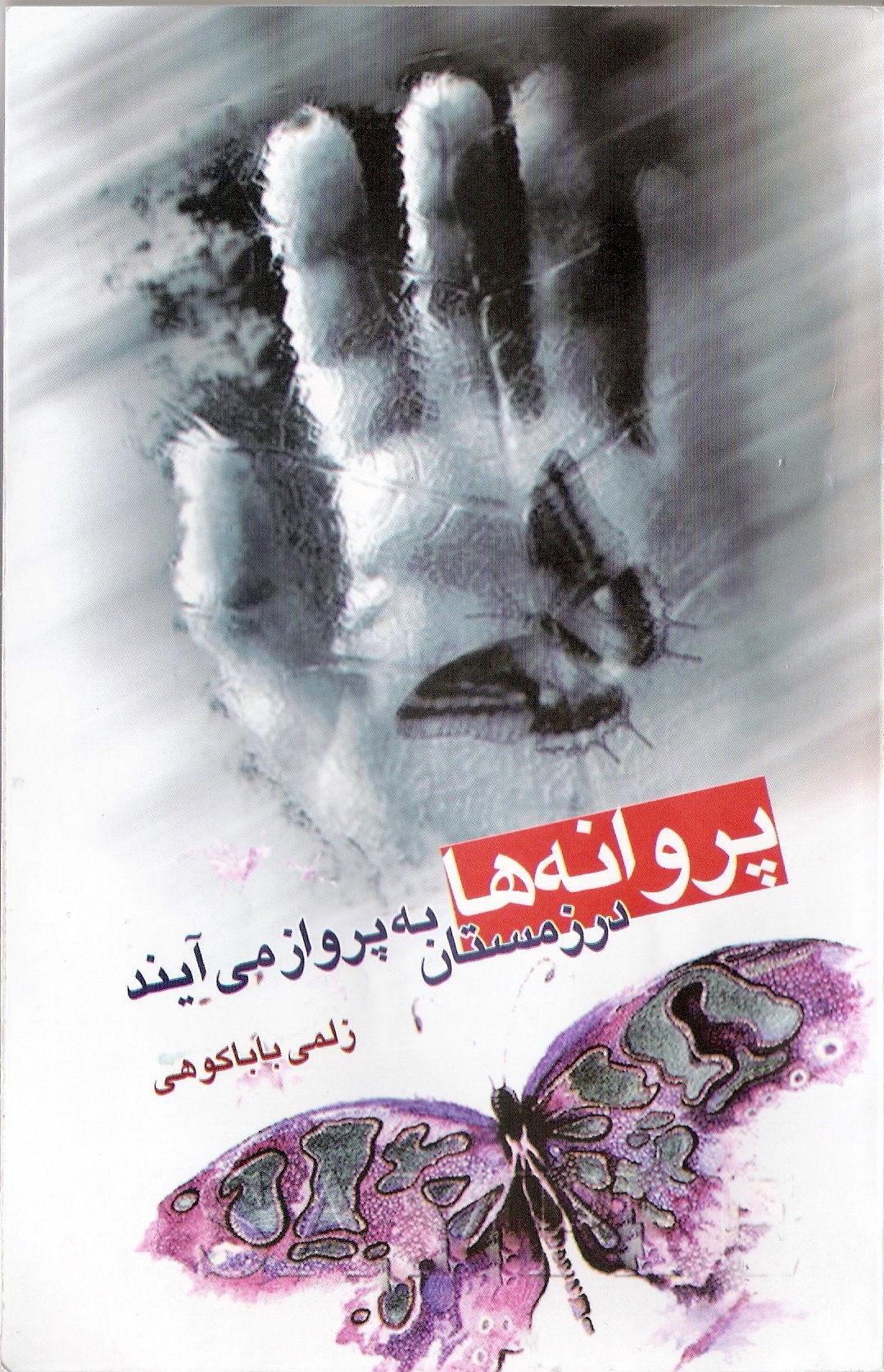 Parvānahʹhā dar zimistān bih parvāz mīʹāyand