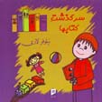 Sarguzasht-i Kitab,ha
