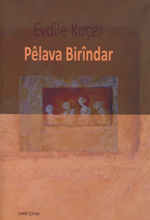 Pêlava Birîndar