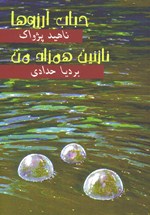Ḥubāb-i Ārizūʹhā - Nāzanīn Hamzād-i Man