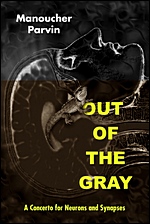 Out Of The Gray