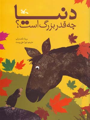 Dunyā chiqadr buzurg ast?