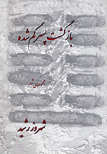 Bāzgasht-i pisar-i gum shudih