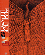 Shahr-i bārīk