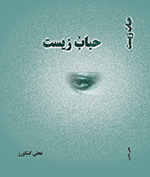 Ḥubāb zīst