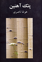 Putk-i āhanīn