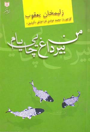 Man bīr dāgh chāyīyām