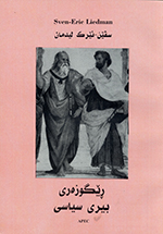 Reguzari bir-i siyasi