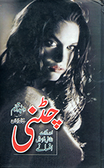 Caṭni