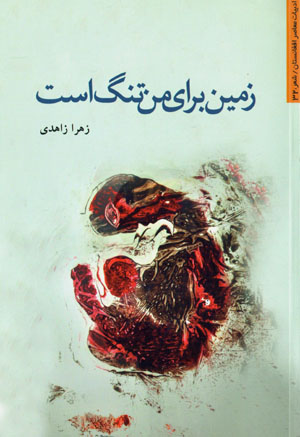 Zamīn barāy-i man tang ast (adabīyyāt-i muʻāṣir-i Afghānistān)