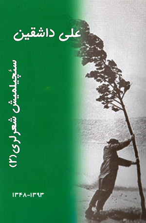 Saʻchīlmīsh shiʻr larī (2)