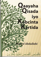 Qaayaha Qisada iyo Kobcinta Kartida