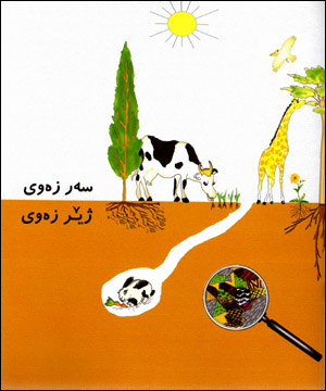Ser zewî jîr zewî