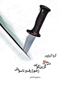 Dil-i mā va guzīn gūyī zakhm-i zhrf va nāsūrish