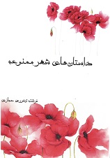 Dāstān'hā-yi shahr-i mamnū'ah
